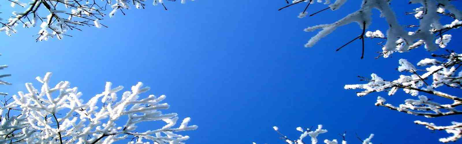 betway西汉姆联官网